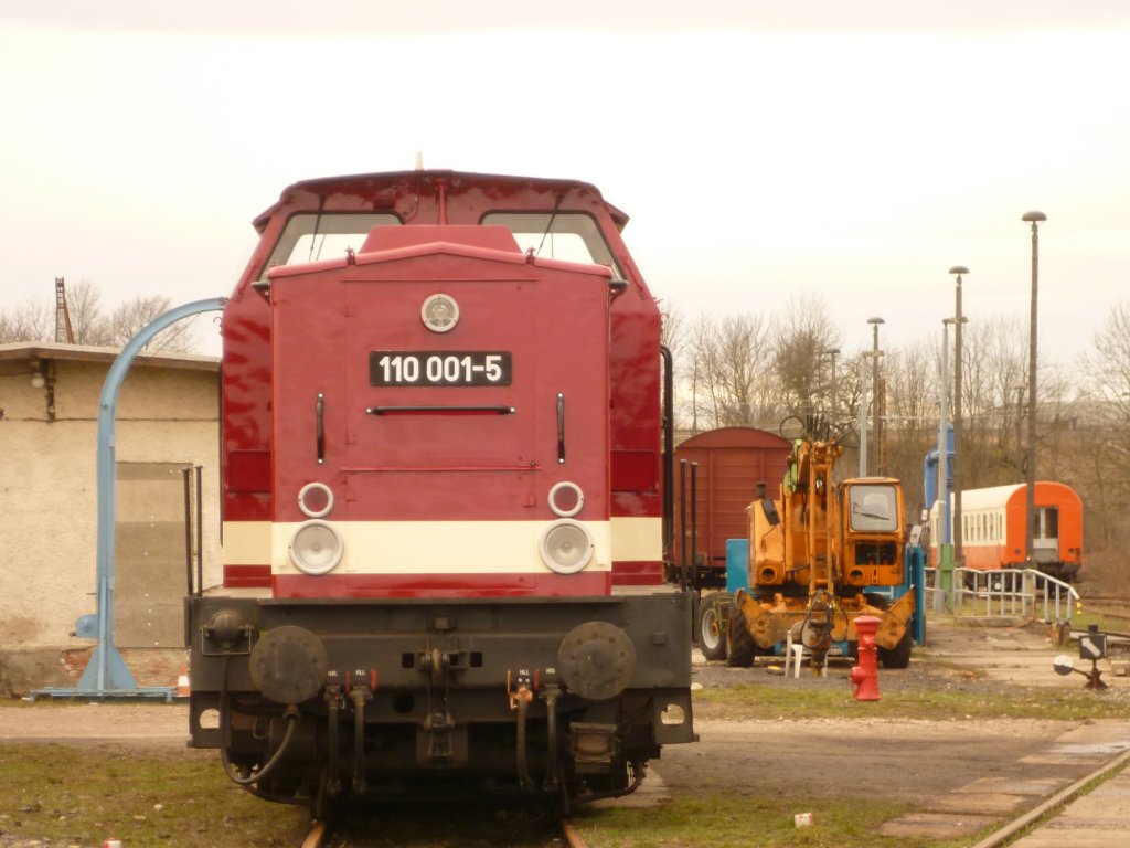 Am 14.04.13 fand in Weimar beim TEV ein Fotoshooting mit der 110 001 statt. Hier zusehen mit einem T174-2.