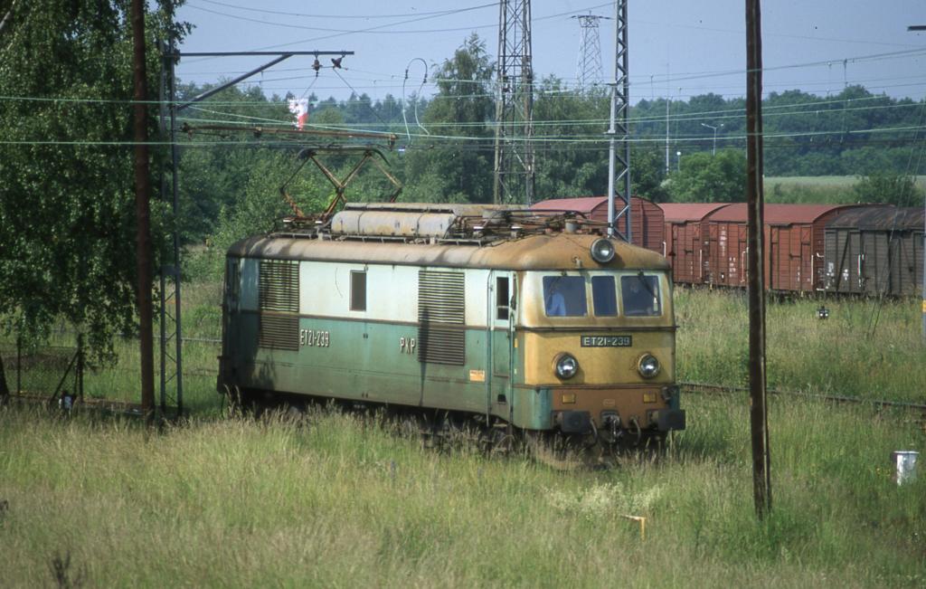 Am 14.06.2001 fuhr die PKP Altbau Elektrolok ET 21-239 durch das hohe Gras
im Gleisbereich des Bahnhofs Jaworzyna Slaska zu ihrem Abstellort ins BW.
