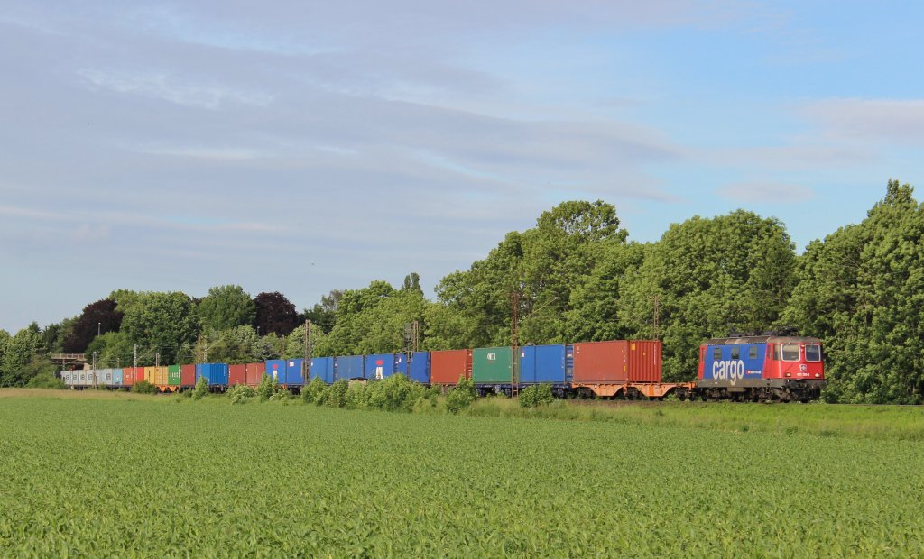 Am 16.Juni 2013 war SBBC 421 396 sdlich von Nordstemmen mit einem Containerzug auf dem Weg Richtung Gttingen.