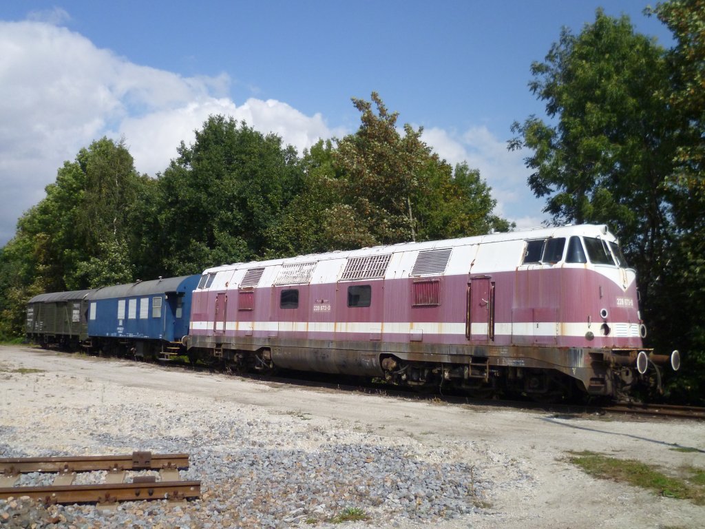 Am 17.09.11 war bei der IG Traditionslok 58 3047 in Glauchau ein BW Fest. Zusehen war die 228 673-0 

