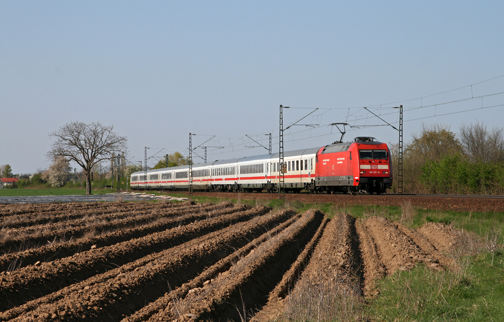 Am 18. April 2010 eilt 101 137 mit dem EC 391 von Frankfurt (Main) nach Linz ber die Main-Neckar Bahn. Die Aufnahme entstand bei Hhnlein-Alsbach an der Bergstrae.