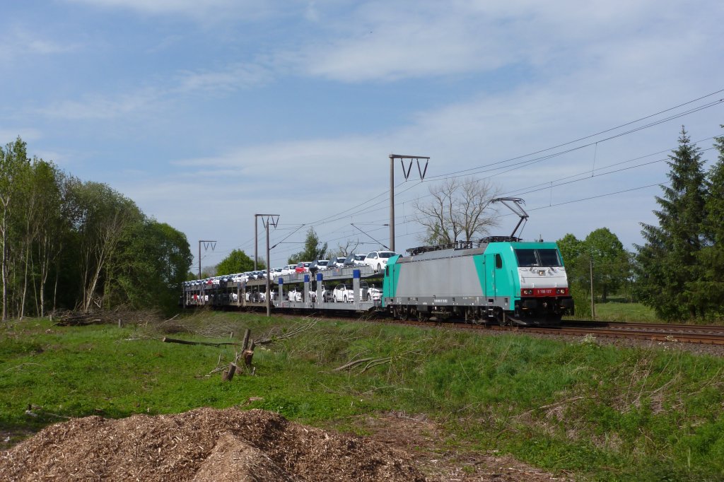 Am 18.05.2012 fuhr die 186 127 mit einem Autozug richtung Leer, hier an der Bahnstrecke bei Nttermoor.