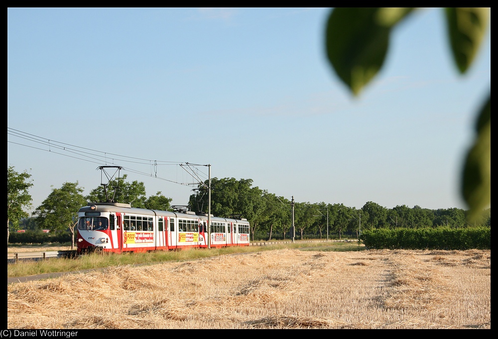 Am 19. Juli 2010 beschleunigt ein Zugverband, gefhrt von 4105, aus dem Haltepunkt Hohensachsen. Sein nchster Halt wird der OEG Bahnhof von Grosachsen sein.
