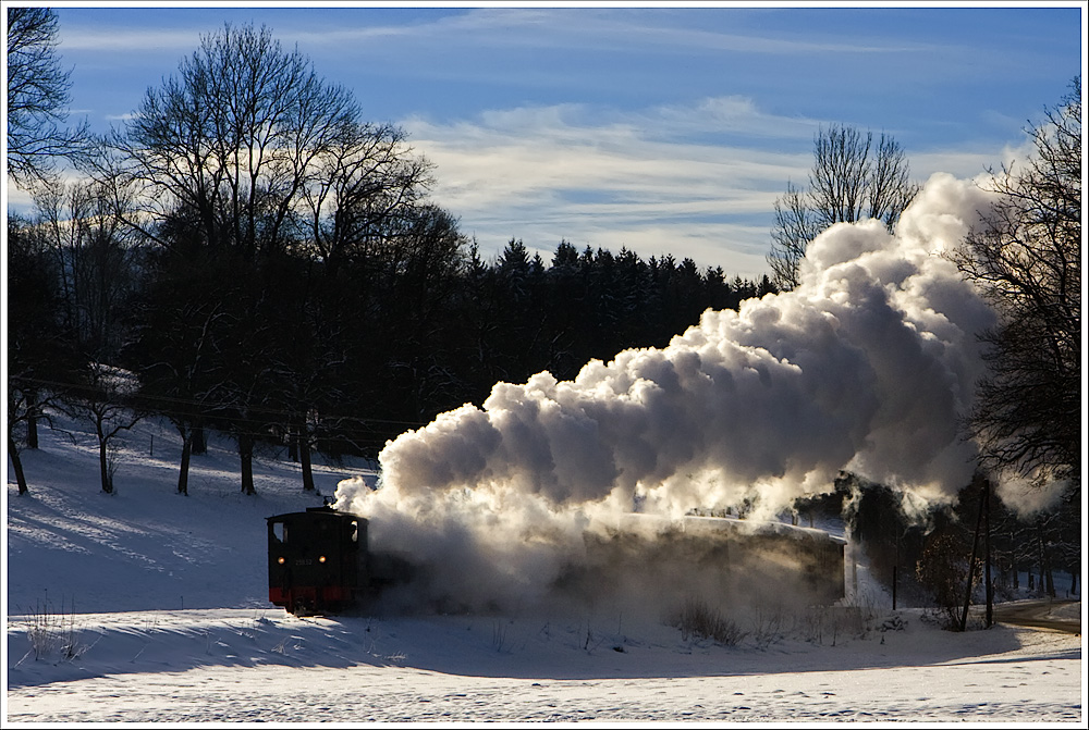 Am 19.Dezember besuchte ich die Steyrtalbahn, welche sich tief winterlich prsentierte. Zwischen Sommerhubermhle und Aschach an der Steyr.