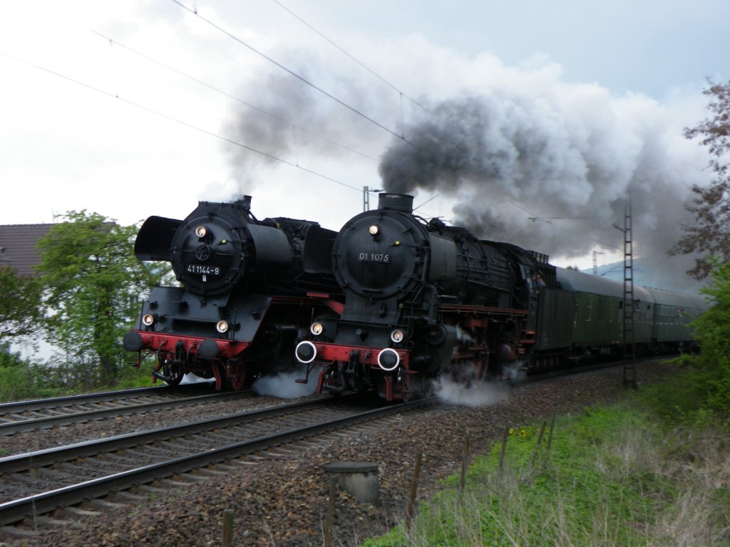 Am 1.Mai 2010 wurde anlsslich des Dampflokfestes in Bebra eine Parallelfahrt mit 01-1075 und 41-1144 von Bebra nach Sontra durchgefhrt...hier am Ortsausgang von Bebra.