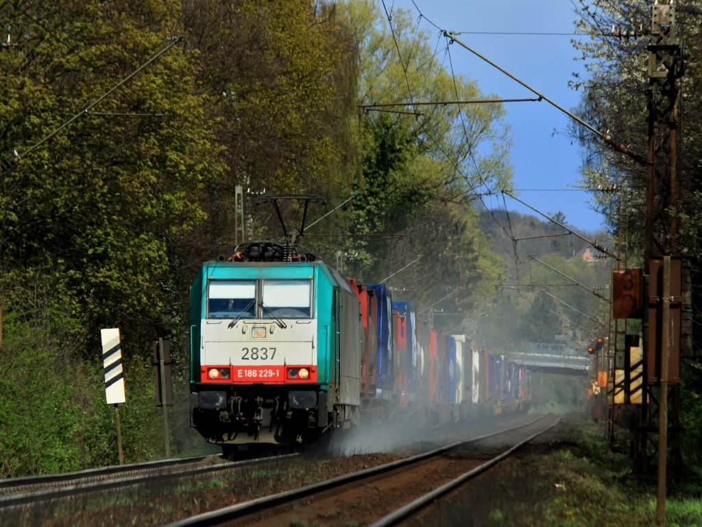 Am 22.04.2012 zieht Cobra 186 229-1 (2837) mit vollem Sandeinsatz einen schweren Containerzug die Gemmenicher Rampe von Aachen West nach Belgien hoch.