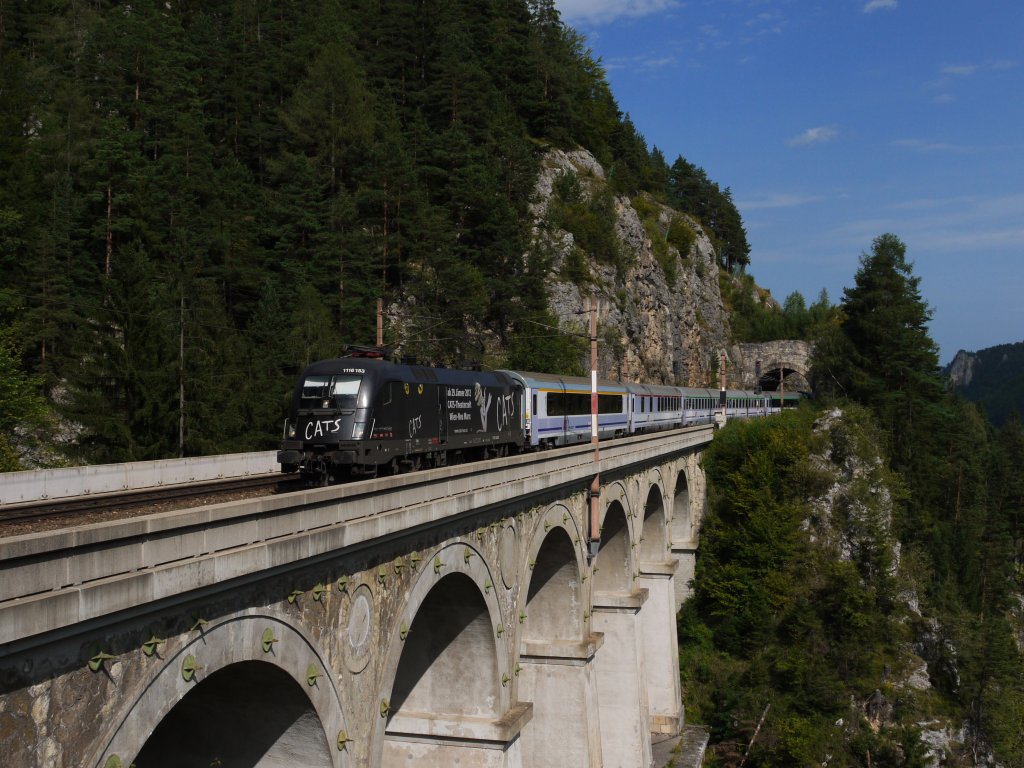 Am 22.08.12 hatte 1116 153  Cats  die Aufgabe den EC 103  Polonia  (Warszawa Wschodnia - Villach Hbf) ab Breclav zu bespannen. Die Aufnahme zeigt den Zug mit Wagen drei verschiedener Bahnverwaltungen auf dem Krauselklause-Viadukt.