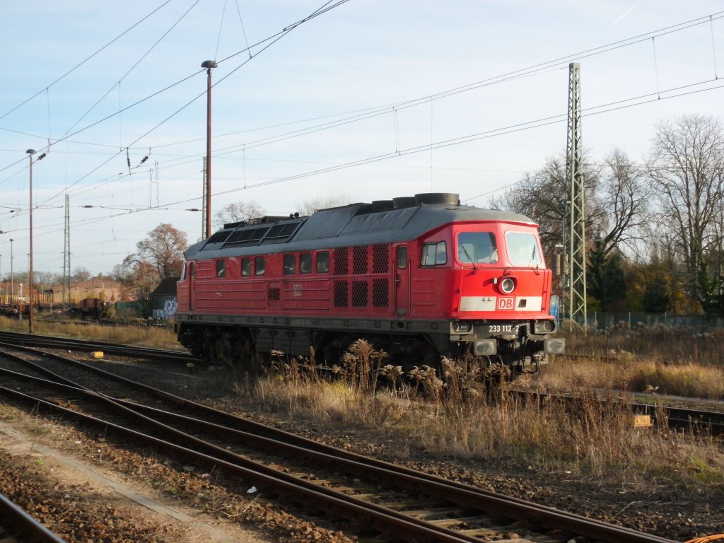 Am 22.11.2012 rangierte die 233 112 in Stendal.