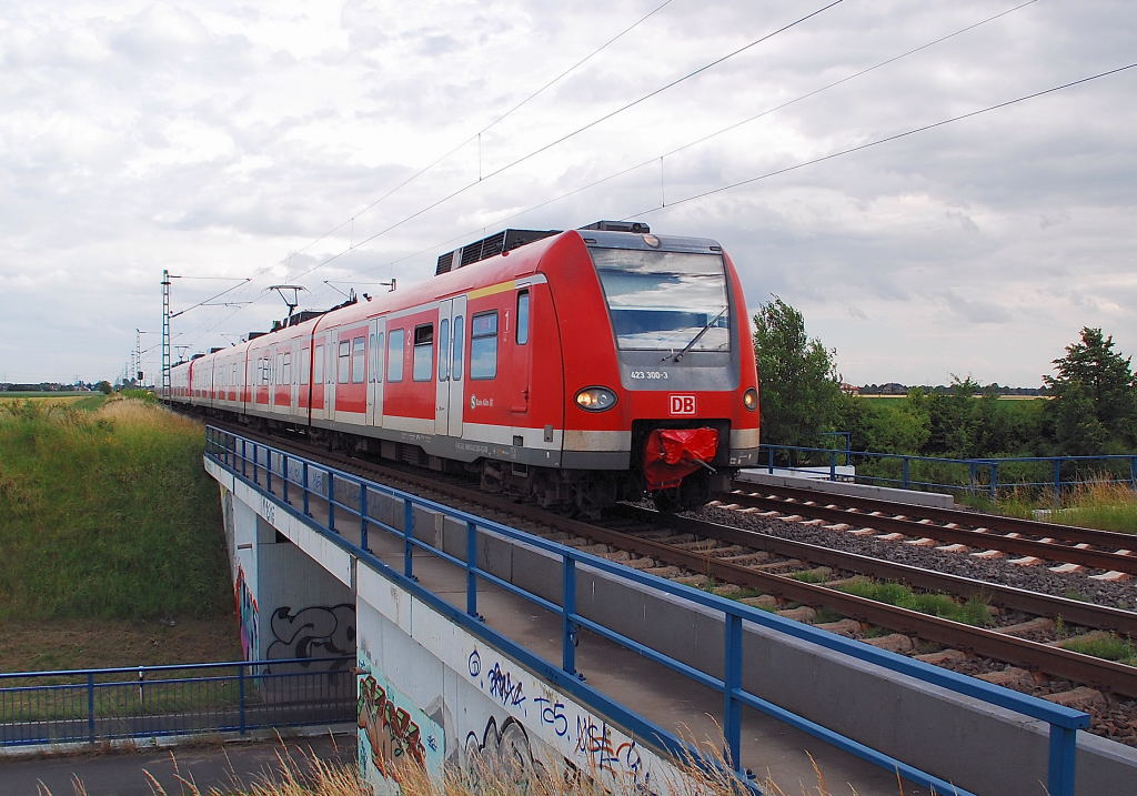 Am 22.6.2012 ist der 423 300-0 auf der K33 Brcke zu sehen. Der Zug ist als S11 nach Dsseldorf unterwegs bei Allerheiligen.