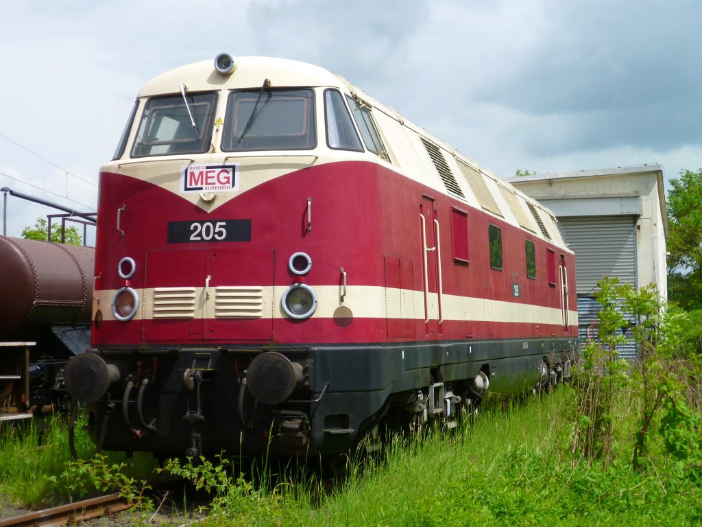 Am 25.05.13 fand in Weimar beim TEV das DR E-Lok Treffen statt. Zusehen war auch die MEG 205.