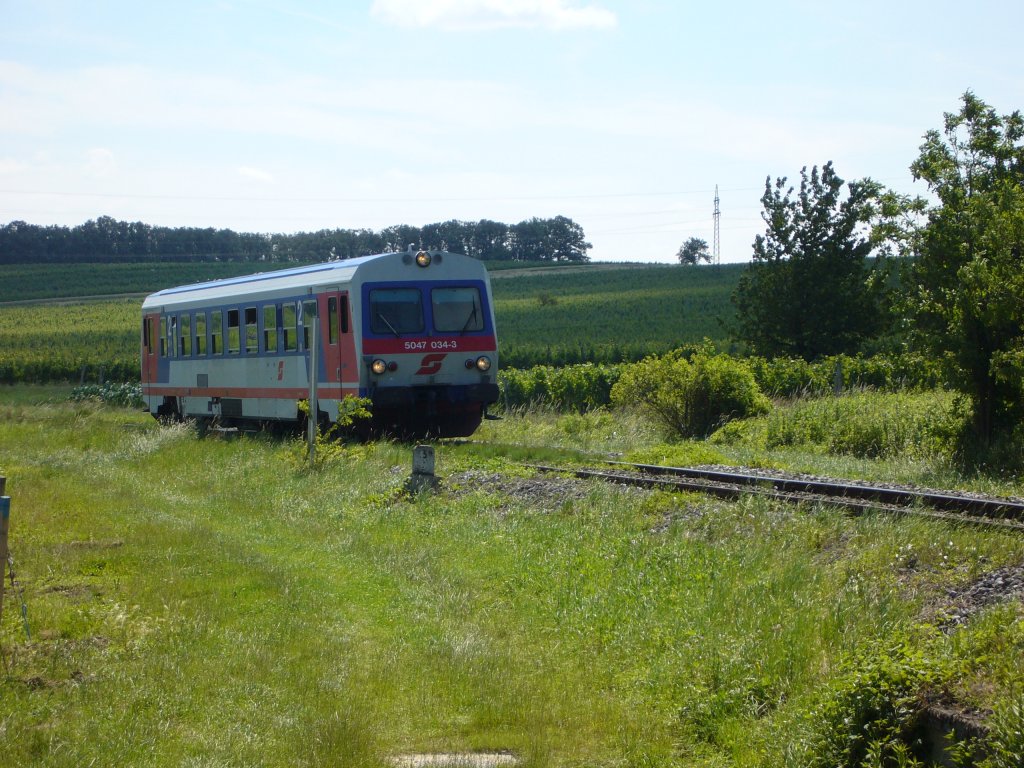 Am 27.6.2010 ist der R7715 zwischen den Weinbergen von Deutschkreutz und Unterpetersdorf unterwegs.