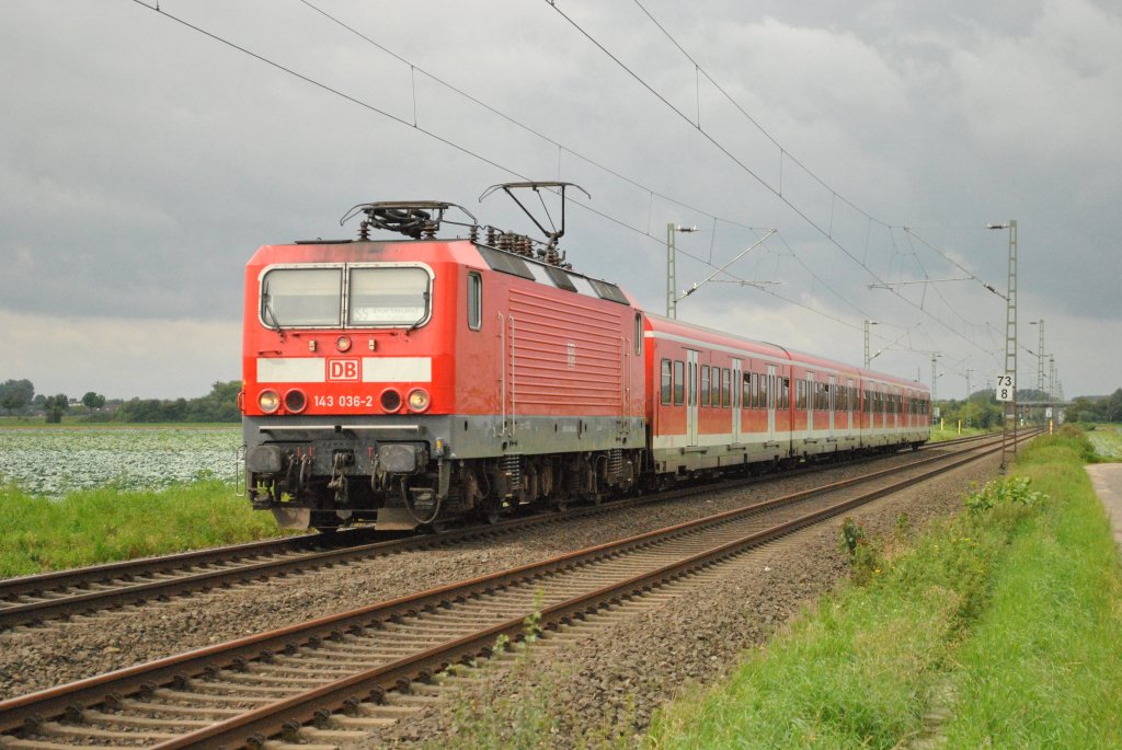 Am 29. August 2010 zieht 143 036-2 eine S-Bahn der Linie 5 nach Dortmund. Hier bei Km 73,8 zwischen Korschenbroich und Mnchengladbach-Lrrip.