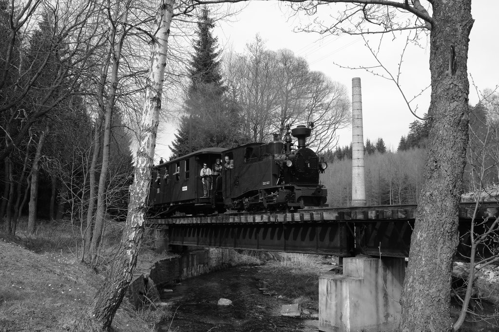 Am 29.04.10 passiert IK No54 mit dem DGEG Charterzug die Brcke vor Schlssel.