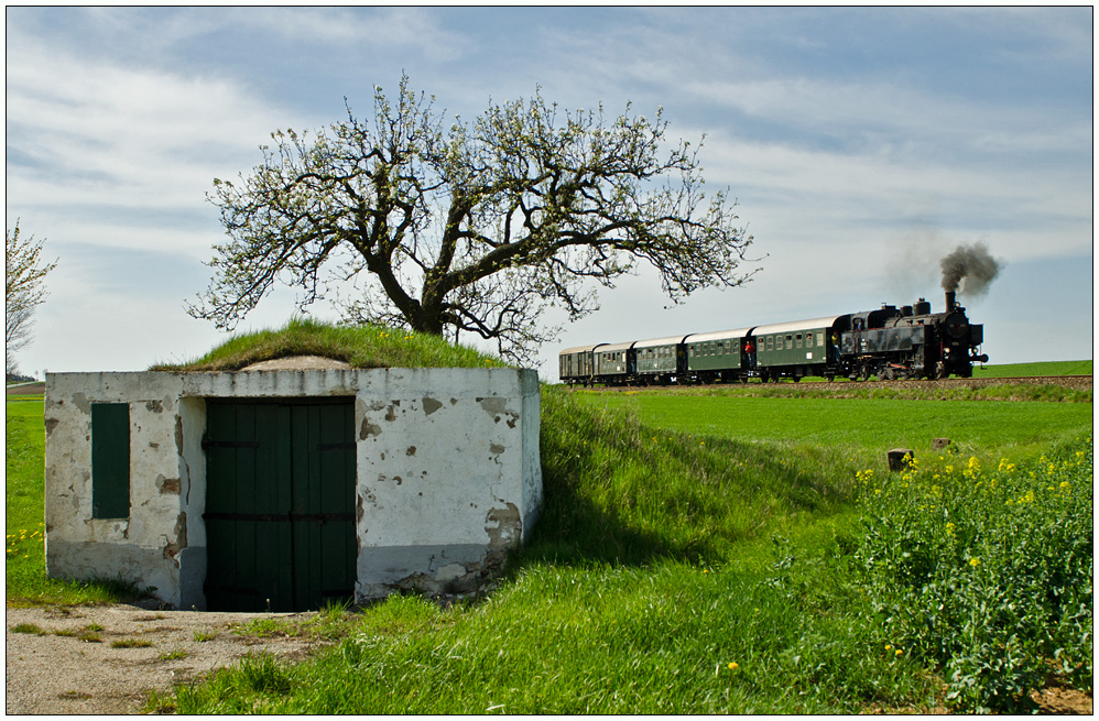Am 29.4.2012 wurde die heurige  Reblaus Express  Saison mit einem Dampfsonderzug, gefhrt von der 93.1420 des Vereines  Neue Landesbahn  erffnet. Hier erreicht der Zug auf seiner Fahrt nach Drosendorf den Bahnhof Niederfladnitz.