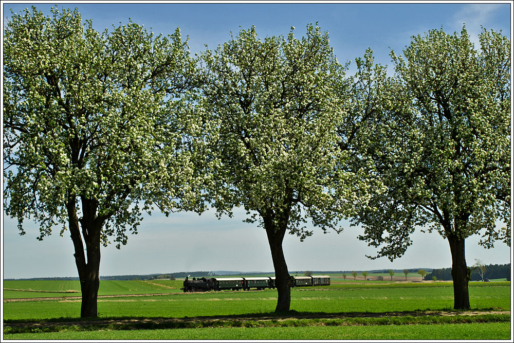 Am 29.4.2012 wurde die heurige  Reblaus Express  Saison mit einem Dampfsonderzug, gefhrt von der 93.1420 des Vereines  Neue Landesbahn  erffnet. Hier sehen wir den Zug zw. Langau und Geras-Kottaun.