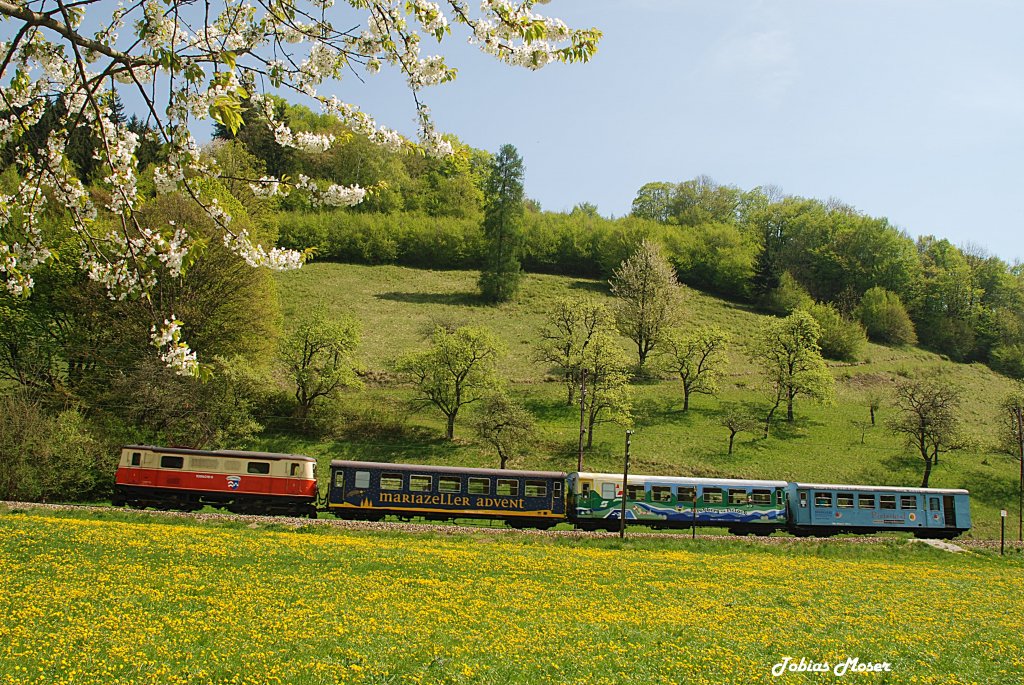 Am 30.April 2010 zog die 1099 016  Ober-Grafendorf  den R 6804 von Mariazell nach St.Plten. Das Bild entstand bei Tradigist.