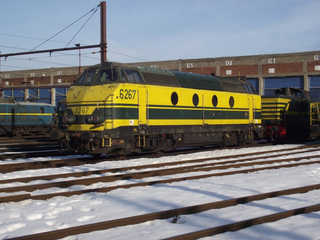 Am 5.01.2011 war es an der Zeit meinen monatlichen Besuch im Depot Kinkempois zu leisten. An diesem Tag waren nur 3 55er und 2 62er anwesend.
Hier 6267 der Infrabel.