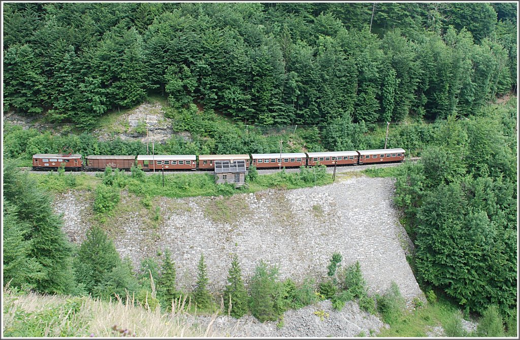 Am 5.8.2010 wurde der REX 6807 von der 1099 010 bespannt. Dieses Bild zeigt den Zug zwischen Puchenstuben und Gsing.