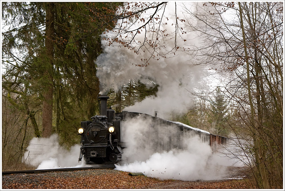 Am 6.Jnner 2012 dampfte die 298.102 fr eine Gruppe von Fotografen mit einem GmP durch das Steyrtal. Hier nahe der Hst. Rosenegg.
