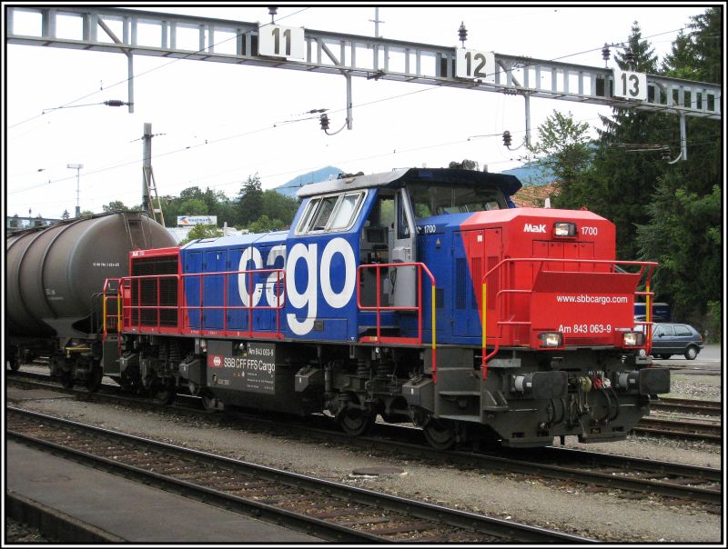 Am 843 069 steht am 22.07.2009 im Bahnhof von Art-Goldau.