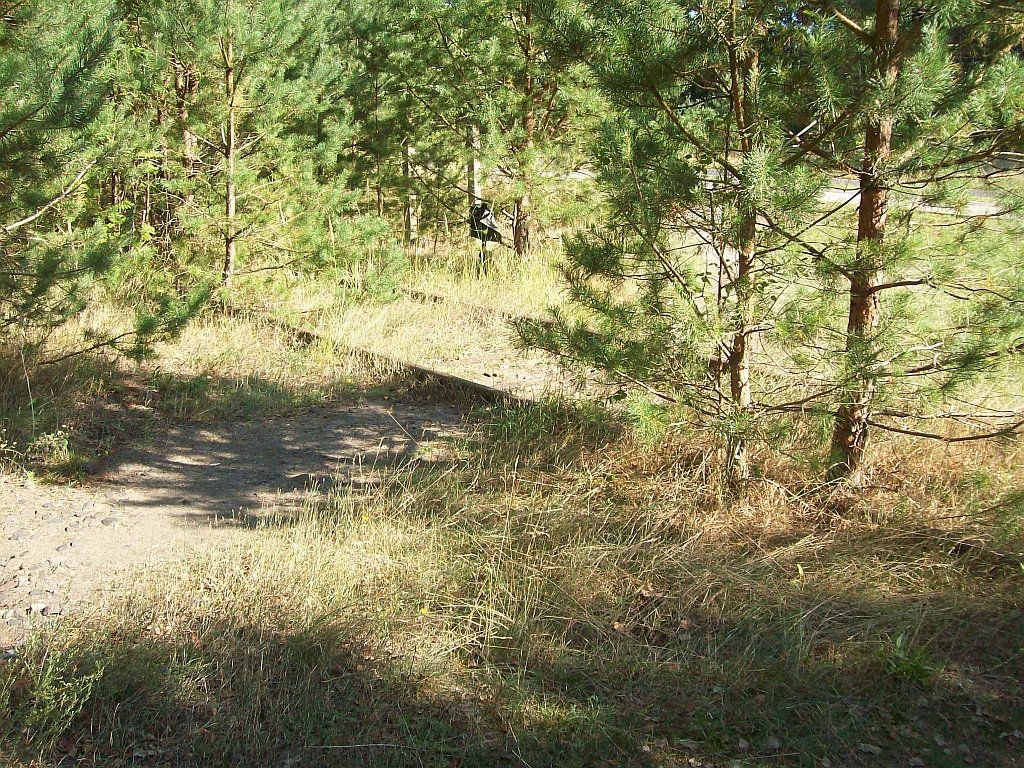 Am Abzweig zum Kraftwerk Finow bei Km 3,75 31.08.08