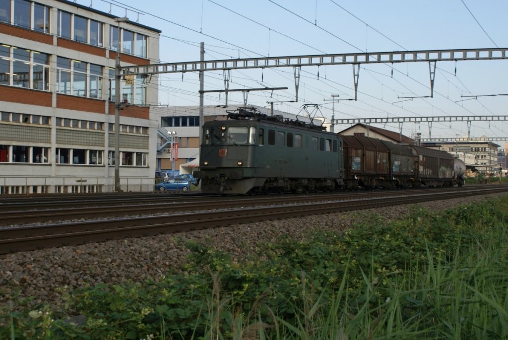 Am frhen Morgen des 16.7.10 nhert sich die Ae 6/6 11427 mit einem kurzen Gterzug Zrich Altstetten.