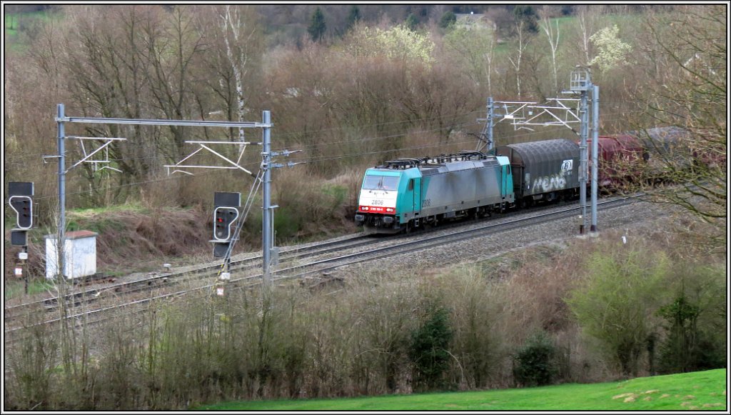 Am frhen Abend ist dieser Gterzug, mit der 2806 als Zugpferd, unterwegs bei Botzelaer auf der Montzenroute in Richtung Tongeren. Belgien im April 2013.