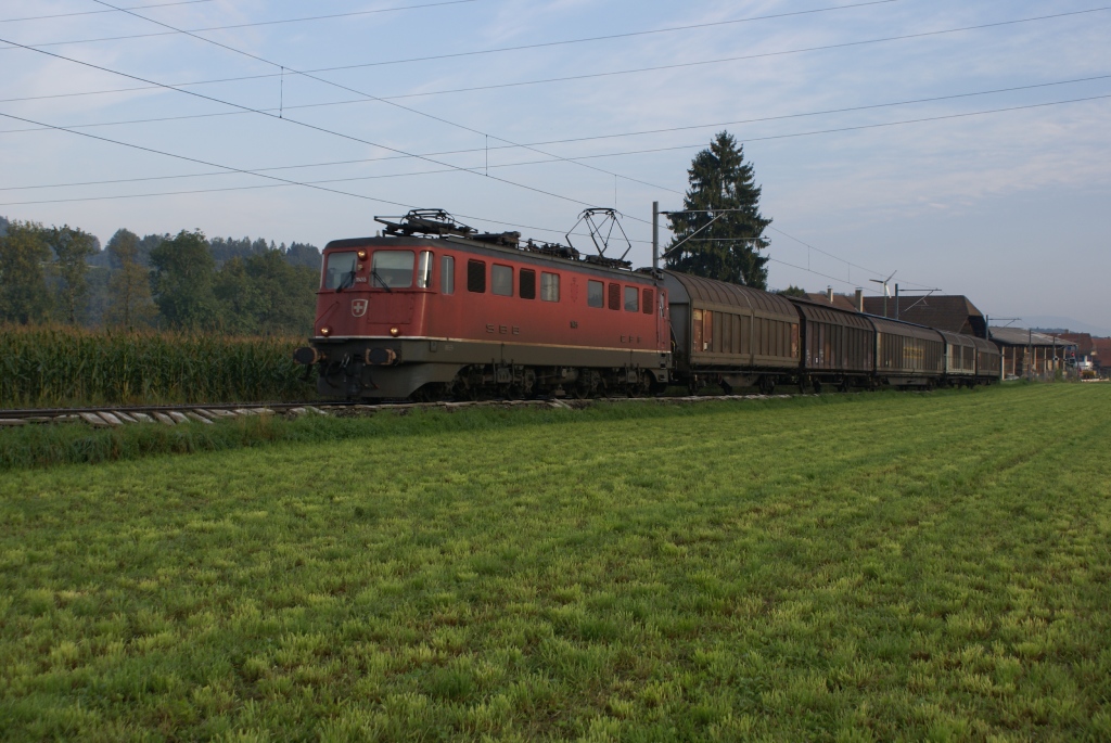 Am frhen Morgen des 6.9.10 zieht die Ae 6/6 11455 einen Gterzug von Lindenholz Richtung Kleindietwil.