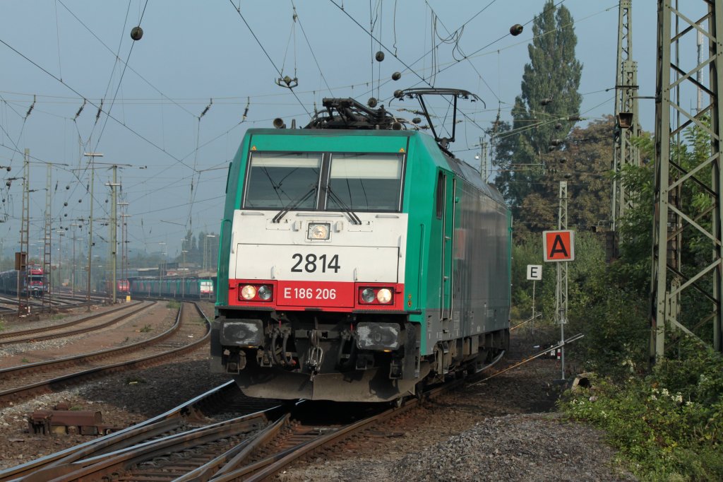Am Morgen des 01.09.2011 rangiert Cobra 186 206 (2814) durch eine Langsamfahrstelle in Aachen West. Im Hintergrund sind noch mehrere abgestellt Cobras zu sehen.