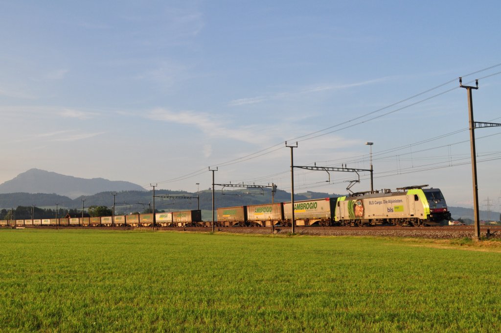Ambrogio-Zug am Gotthard mit Re 486 503 am 07.07.2010 bei Oberrti.