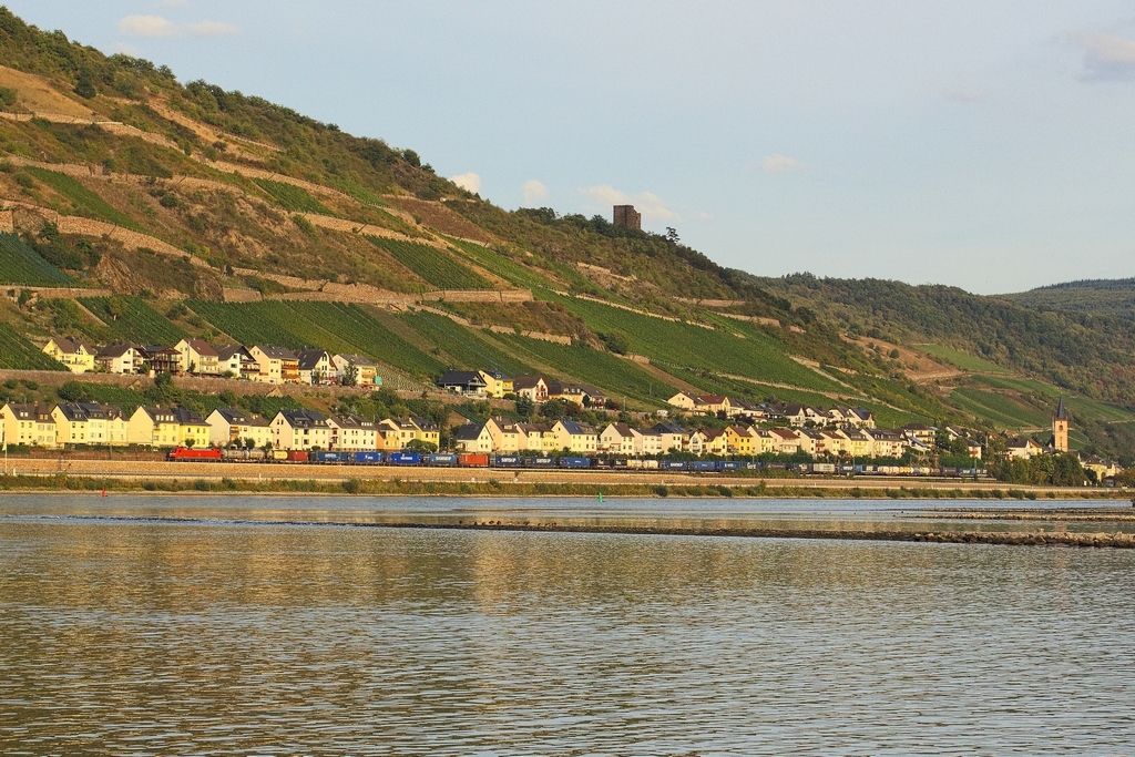 An einem Septemberabend 2012 schleppt eine 152 Container Richtung Norden. Sie hat bereits Lorch mit seiner St. Martin Kirche und der Ruine Nollig hinter sich gelassen und bewegt sich auf die Grenze des Rheingaus zu