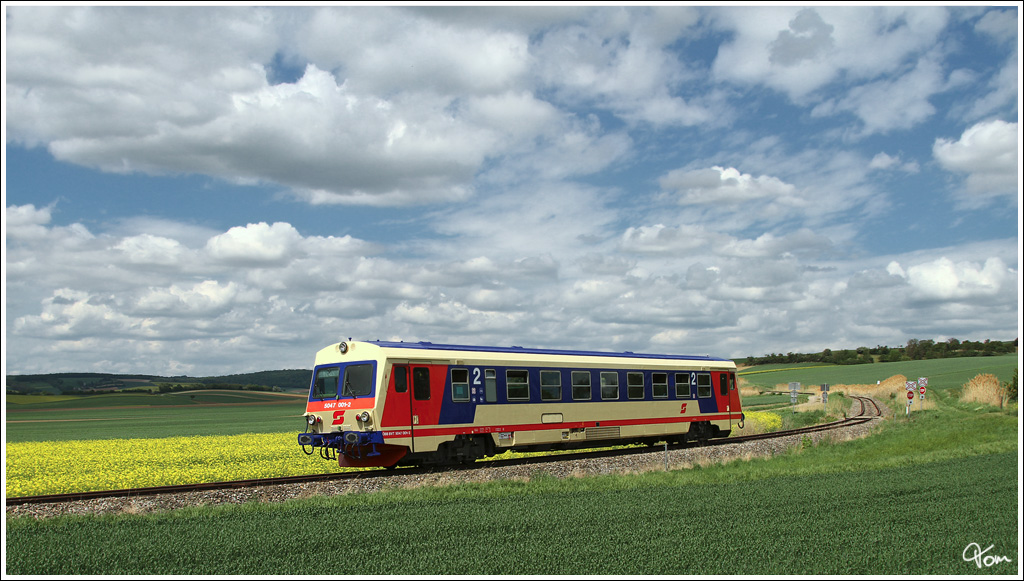 An gelben Rapsfeldern vorbei, f�hrt VT 5047.001 als Erlebniszug EZ 7393 von Ernstbrunn nach Korneuburg. 
Mollmannsdorf 6.5.2012
