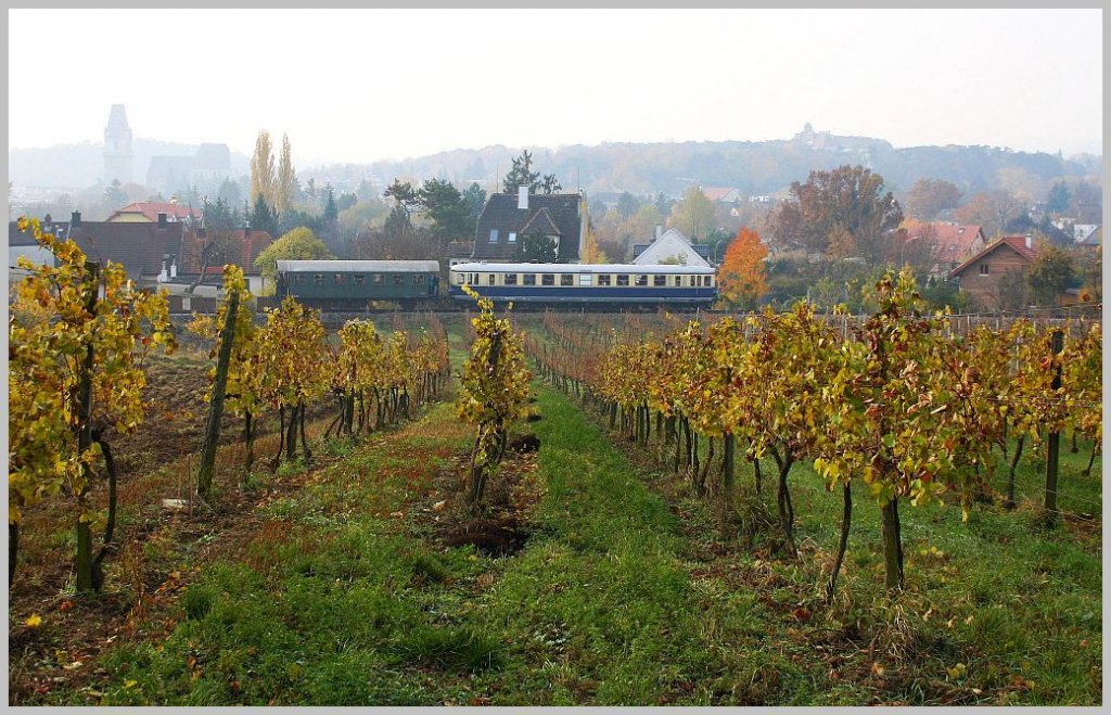 Anlsslich des Perchtoldsdorfer Htereinzuges veranstaltete der Verein Pro Kaltenleutgebner Bahn Sonderfahrten mit dem 5042 14 auf der schnen, 6,7 km langen Strecke zwischen Wien/Liesing und Waldmhle. Hier am nebligen Morgen an den Perchtoldsdorfer Weingrten. 06.11.11