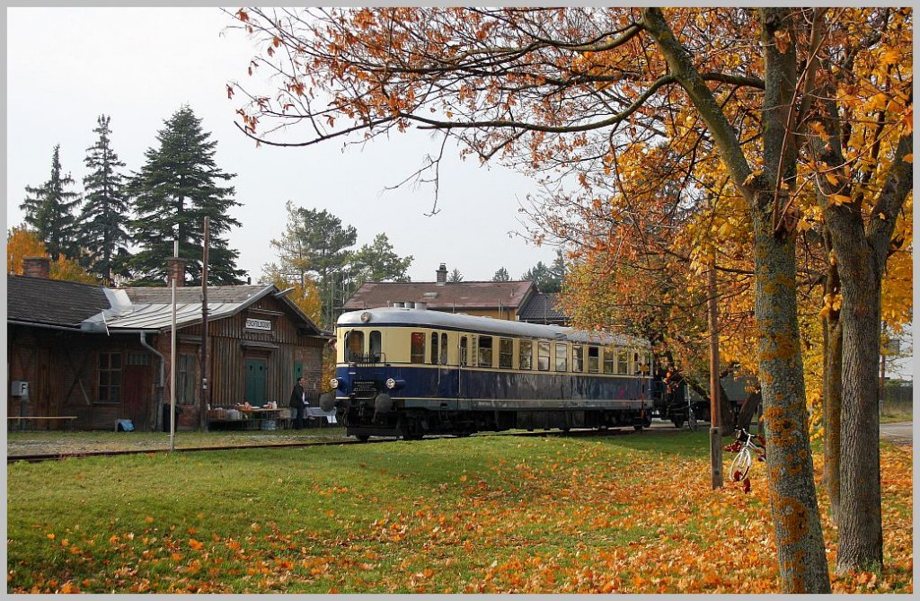 Anlsslich des Perchtoldsdorfer Htereinzuges veranstaltete der Verein Pro Kaltenleutgebner Bahn Sonderfahrten mit dem 5042 14 auf der schnen, 6,7 km langen Strecke zwischen Wien/Liesing und Waldmhle. Hier bei der Einfahrt in den unter Denkmalschutz stehenden alten Bahnhof Perchtoldsdorf. 06.11.11