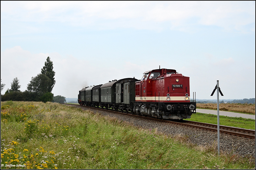 Anlsslich der Veranstaltung 125 Molli fuhr am 06.+07.08.11 ein Pendelzug mit 112 565 und 91 134 zwischen Bad Doberan und Rostock. Aufnahme zeigt die 112 565 zwischen Parkentin und Gro Schwa.