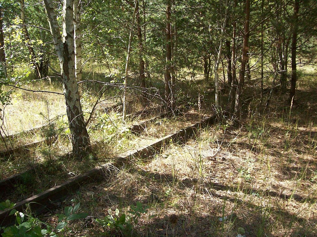 Anschlugleis am Rohrleitungsbau Finow 31.08.2008