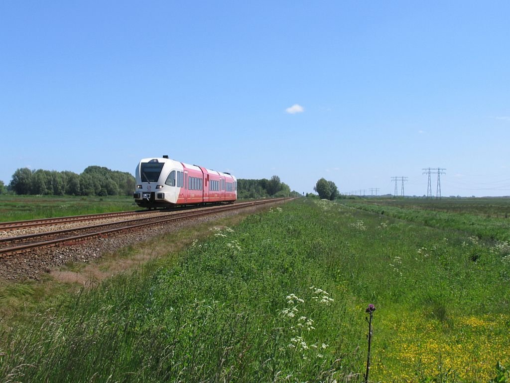 Arriva D-GTW 2/8 10304 mit Regionalzug 37846 Zuidbroek- Groningen bei Waterhuizen am 4-6-2010.