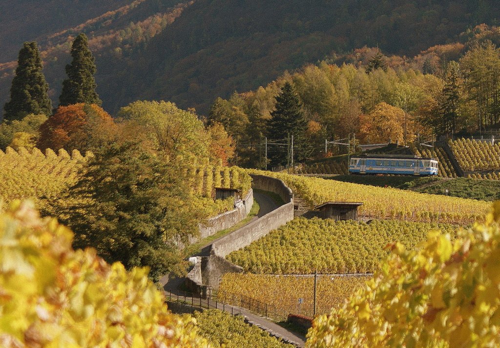 ASD Be 4/4 in den Weinbergen von Aigle.
(28.10.2009)