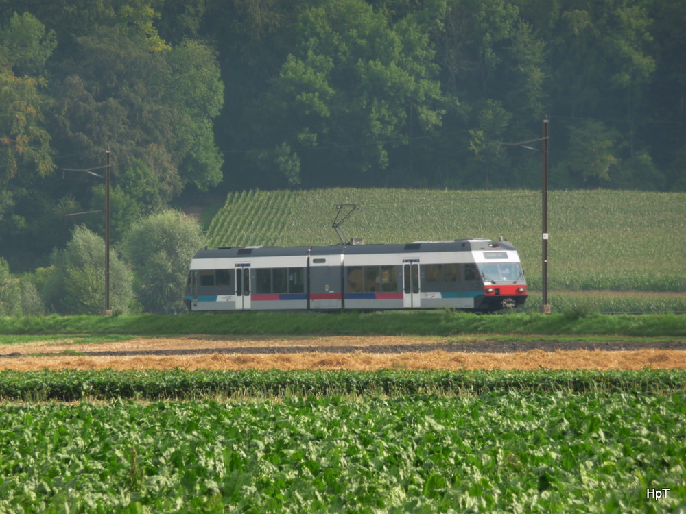 asm Seeland - Triebwagen Be 2/6  501 unterwegs bei Siselen am 03.08.2011