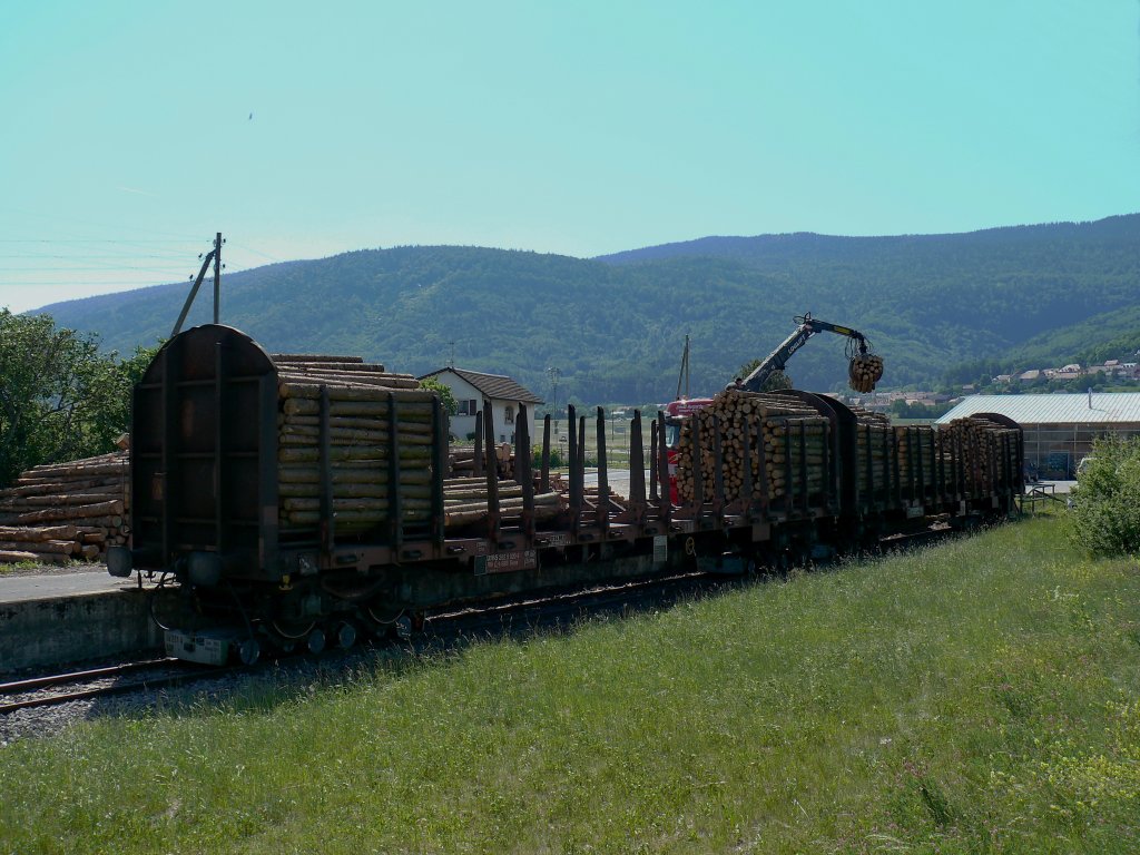 Auch an der BAM-Zweigstrecke zwischen Apples und L´Isle findet Holzverlad statt.
Zwei SBB Roos-Rungenwagen stehen hier auf BAM-Rollbcken und werden beladen.

Montricher 
29.05.2009