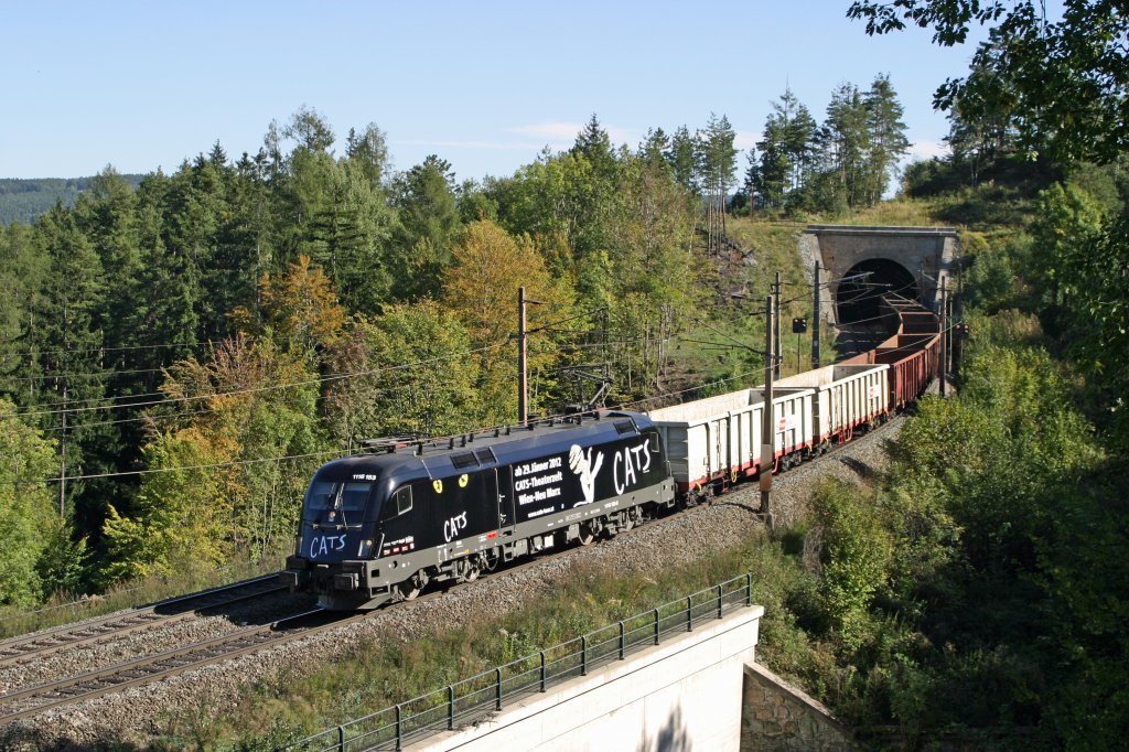 Auch bei leichten Gegenlicht schaut die 1116.153  Cats  mit G-55052 ganz gut aus. Eichberg,am 2.10.11