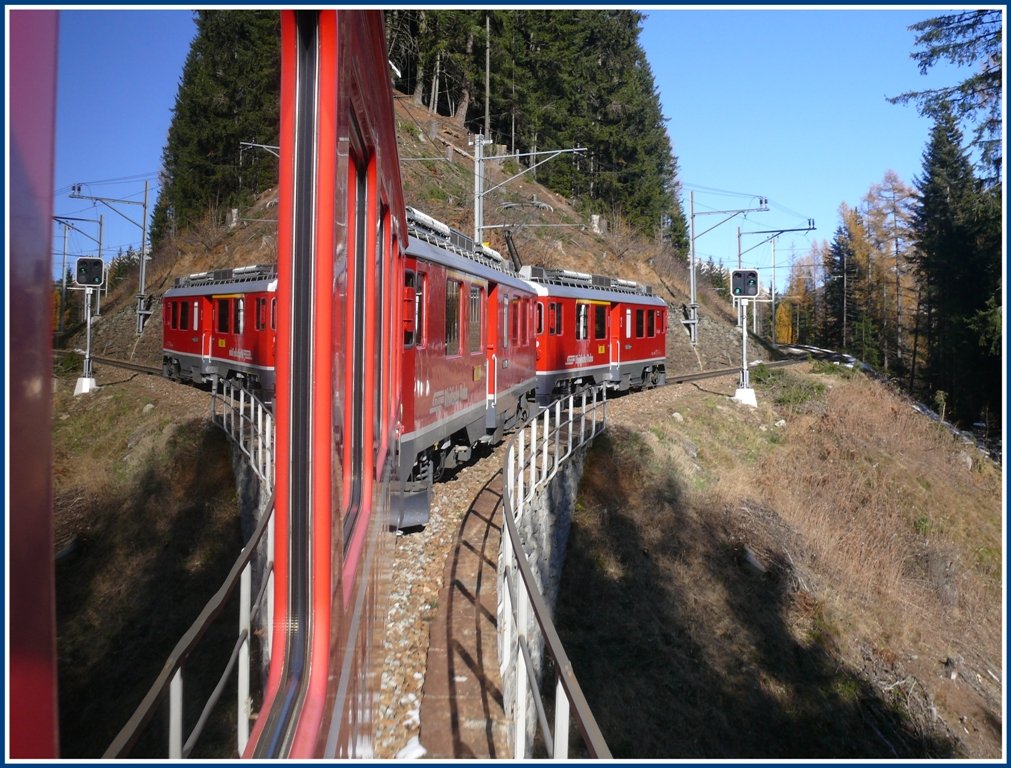 Auch entlang der Berninastrecke wird immer weiter ausgeholzt, um Betriebsunterbrche durch strzende Bume zu vermeiden. R1648 bei Cadera. (11.11.2009)