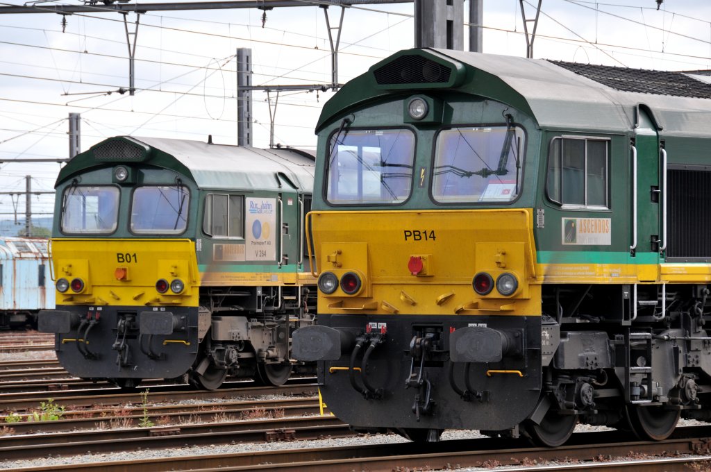 Auch in Montzen war es ber Pfingsten ziemlich ruhig. Hier stehen zwei Class 66 von Ascendos fast nebeneinander : links die von der Rurtalbahn geleaste PB01, rechts die PB14 in Diensten von Crossrail. Aufgenommen am 13/06/2011. 