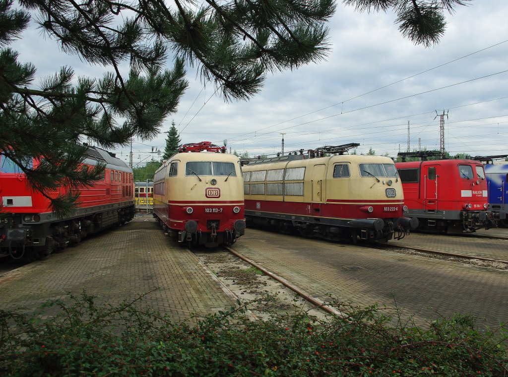 Auch nett anzuschauen: 103 113-7 und die glcklicherweise doch anwesende 103 222-6 nebeneinander abgestellt. Aufgenommen am 19.09.2010 beim Bahnfest in Osnabrck.