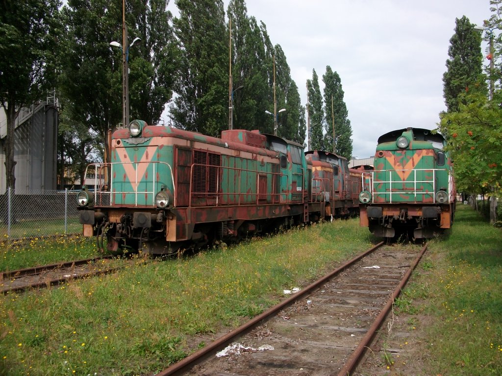 Auch Polen trennt sich von seinen nicht mehr bentigten Dieselloks.Hier ist es die Baureihe SP42 die zahlreich am 07.August 2010 auf einem Abstellgleis in Szczecin Port Centralny stehen. 