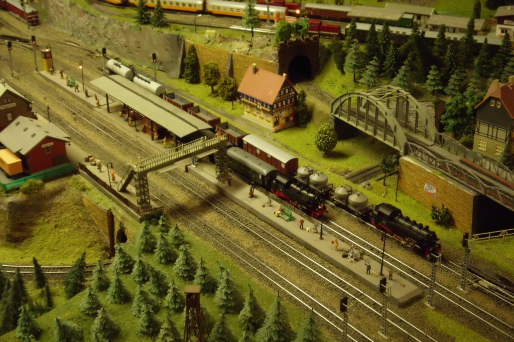 Auch eine TT-Anlage bauten die Sassnitzer Modellbahnfreunde und zeigten Diese am 29.Dezember 2011 in ihren Vereinsrumen den Besuchern.