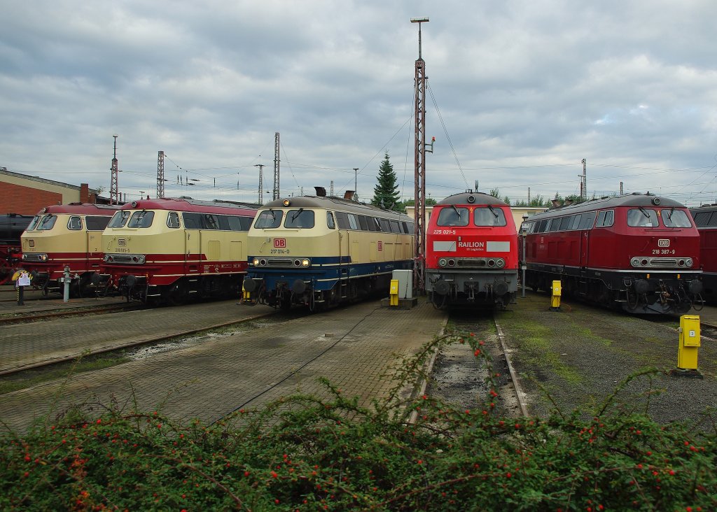 Auch wenn mein diesj�hriges pers�nliches Highlight-Event schon etwas zur�ck liegt, m�chte ich trotzdem die beim 175 Jahre Eisenbahn und 125 Jahre BW-Osnabr�ck-Fest entstandenen Bilder nicht vorenthalten. Los ging es am 19.09.2010 schon recht fr�h zur Fotostunde (was wirklich eine sehr gute Idee der Veranstalter war). So konnte man noch in Ruhe und ohne viele Leute ein paar Bilder machen. Hier mal ein Blick �ber die ausgestellte V160 Familie! v.l.: 217 001, 218 105, 217 014, 225 021 und 218 387.