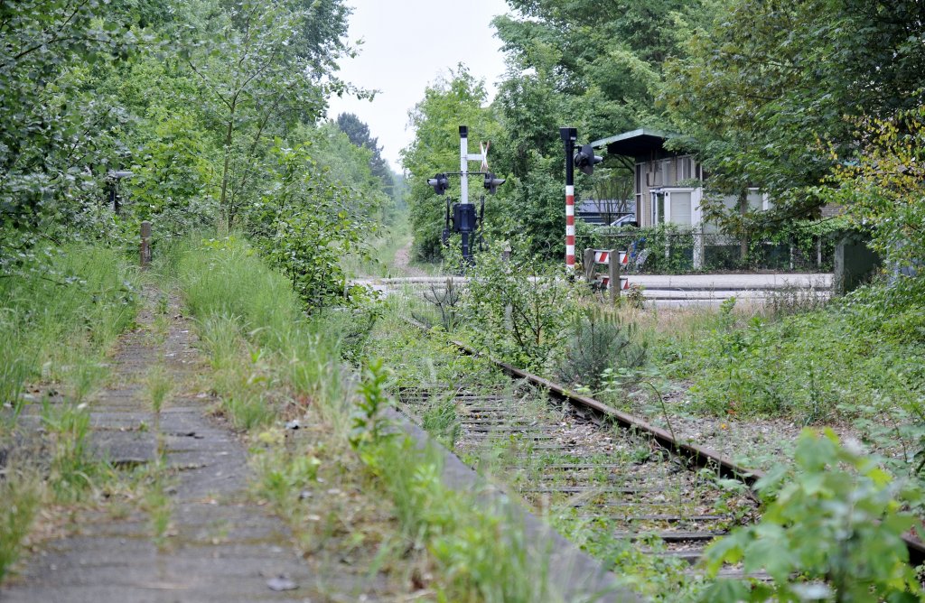 Auf die alte strecke von 
IJmuiderlijn findet mann die alte haltestelle Casembroodstraat, aufnahme ist von 6.06 2011.