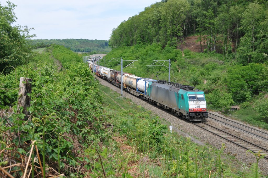 Auf dem Gefllestck zwischen dem Gemmenicher Tunnel und dem Bahnhof Montzen rollt Cobra-Lok 2818 mit ihrem Gterzug fast geruschlos durch den Wald von Gemmenich. Aufgenommen am 08/05/2011.