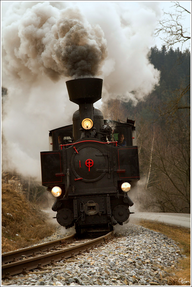 Auf der Feistritztalbahn fhrt die Schmalspurdampflok U8 mit einem Sdz, fr die “The Railway Touring Company” aus England von Weiz nach Birkfeld. 
Rosegg 6.2.2012 

